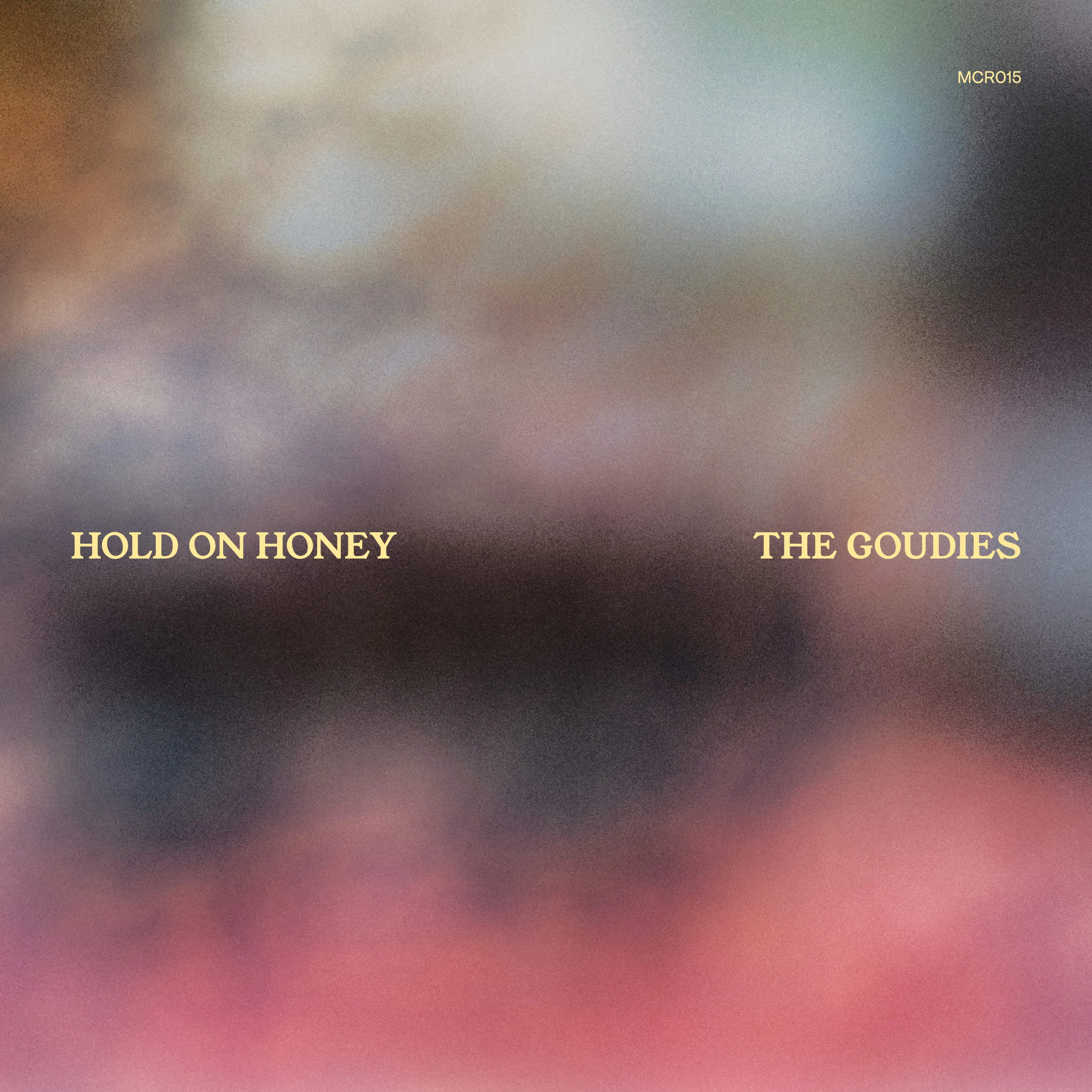 Hold On Honey