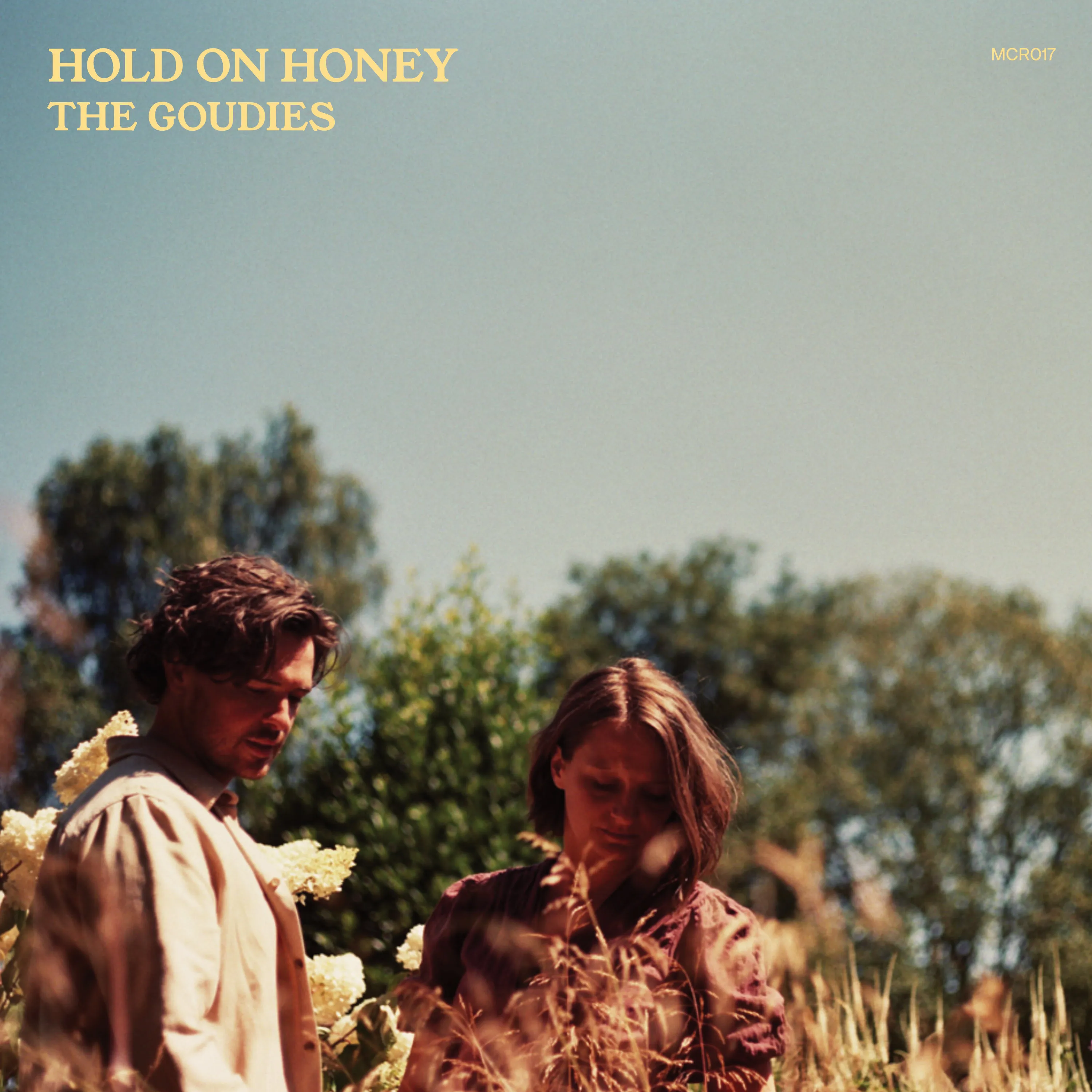 Hold On Honey