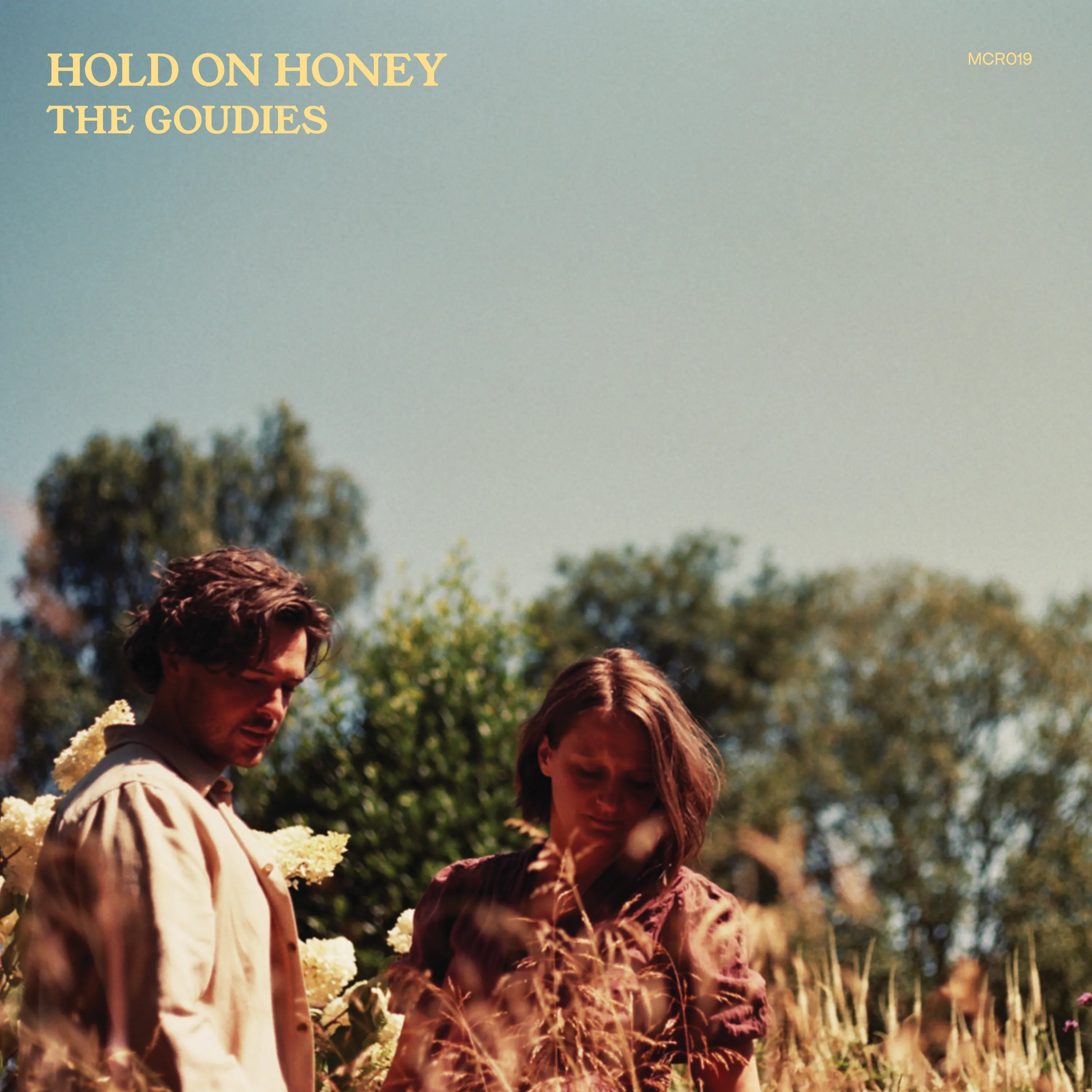Hold On Honey